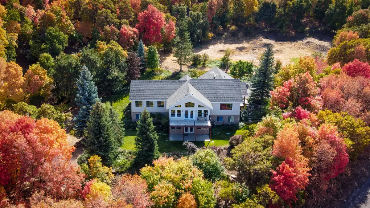 Luxury home surrounded by mature trees in Palos Park