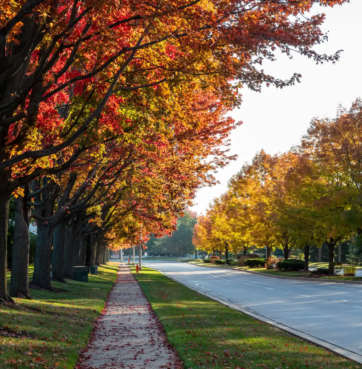 Luxury real estate in Tinley Park IL